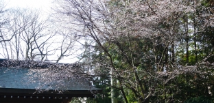 左義長（どんど焼き）でお正月飾りとお札をお焚き上げしていただきました